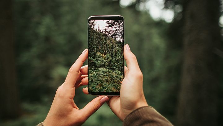 Smartphone-Fotografie kompakt: Tipps und Tricks für beeindruckende Bilder