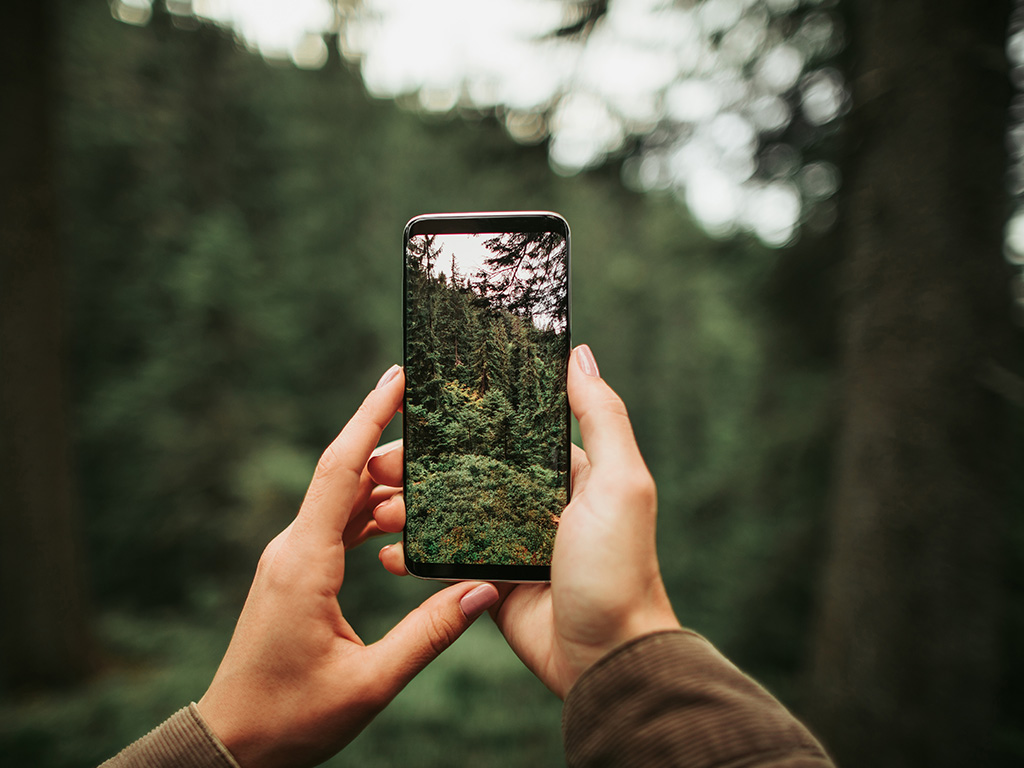 Smartphone-Fotografie kompakt: Tipps und Tricks für beeindruckende Bilder