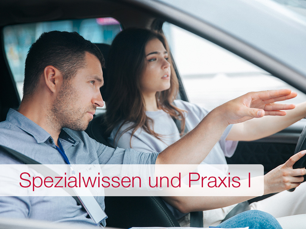 Fahrlehrer-Assistent:in - Spezialwissen und Praxis I